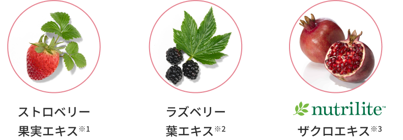 植物由来成分やケア成分
