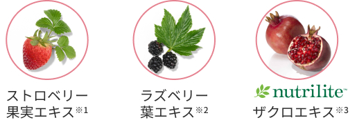 植物由来成分やケア成分