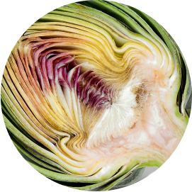 アーティチョークエキス