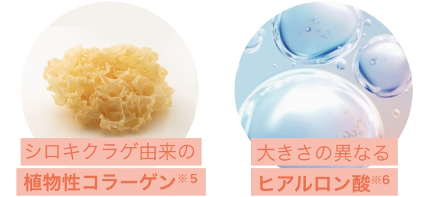 成分イメージ図