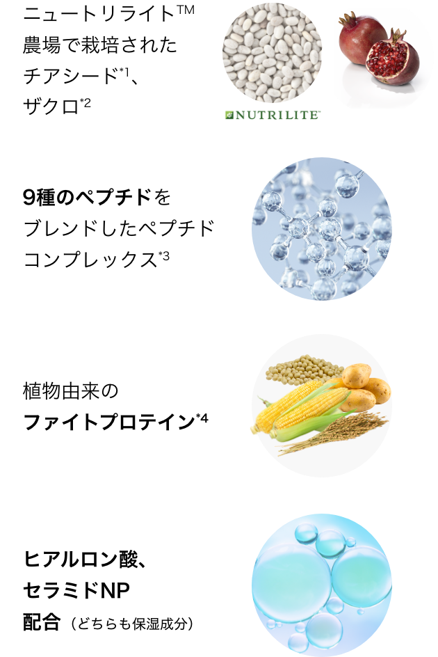 成分イメージ図