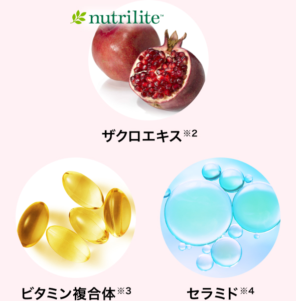 成分イメージ画像