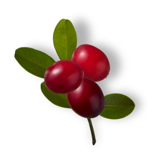 クランベリー バイオペプチド