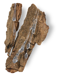 リフトケア コンプレックス