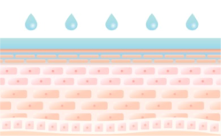 化粧水で肌に水分を補給しうるおいを与え角層を柔らげます。